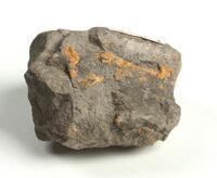 M 08343
<br/>
<br/>
<em></em>